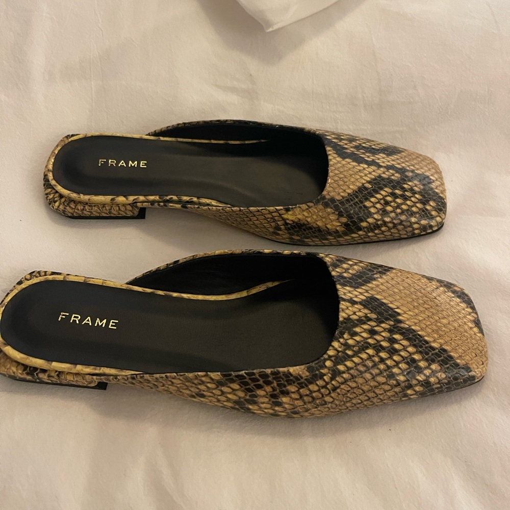 Frame python slide 36.5 - Picture 2 of 5